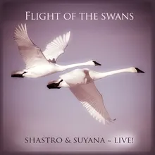 Flight of the Swans-Live