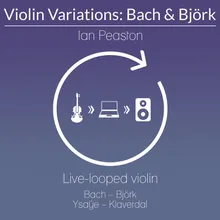 Vlaia, a de-composition of Bach Violin Partita No. 3