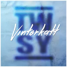 Vinterkatt