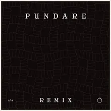 Pundare-Anthon Johansson Dope Remix