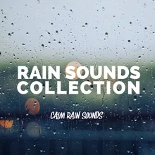 Rain Sounds: Healing Rain