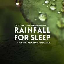 Rain Sounds: Sleep Rain