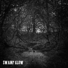 Swamp Glow