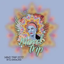 Mind Trip 2017