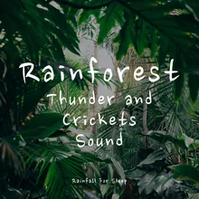 Rainforest: Heavy Rain and Thunder
