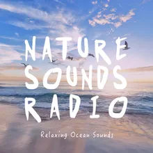 Ocean Sounds: Relaxing Waves
