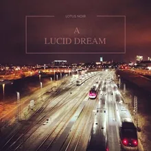 Lucid Dreaming