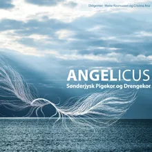 Panis Angelicus