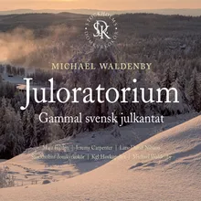 Juloratorium, Op. 17: III. Andra avdelningen - Vid Betlehem