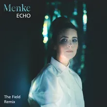 Echo-The Field Remix