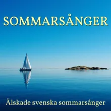 Så skimrande var aldrig havet