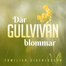 Där gullvivan blommar