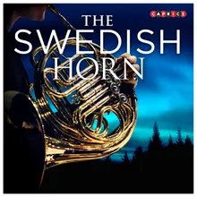 Horn Concerto in A Minor, Op. 28: II. Adagio