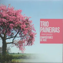 Paineira (Barriguda) No. 2: Painas