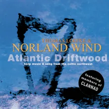 Atlantic Driftwood