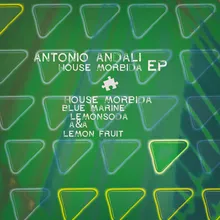 Lemon Fruit-Andali Remix