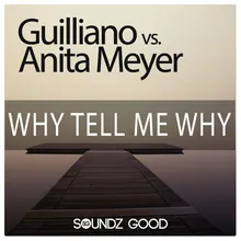 Why Tell Me Why-Guilliano vs Cj Stone Dub Mix