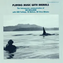 Orcas and Waterphone