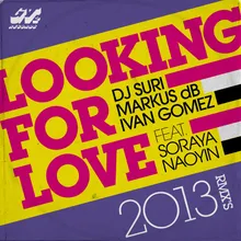 Looking for Love 2013-Paulo Agulhari & Tommy Love Remix