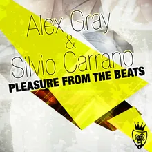 Pleasure from the Beats-Alex Gray Back to 90's Mix