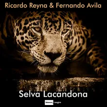 Selva Lacandona