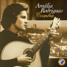 Amendoa Amarga