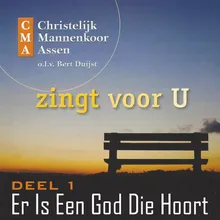 Aanschouw het Lam van God