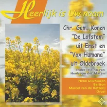 Hosanna in de hoge