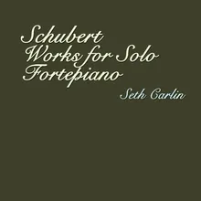 Sonata in A major opus posth. 120 - andante