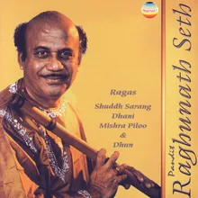 Raag Shuddh Sarang-Gat In Rupak Taal