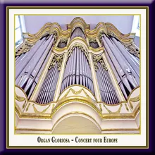 Rheinberger: Organ Sonata No. 4 in A Minor Op. 98 - (3) Fuga cromatica