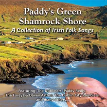 Paddy's Green Shamrock Shore
