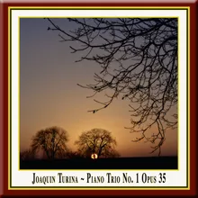 Piano Trio No. 1 in D Major, Op. 35: III. Sonata (Allegro-Allegretto)