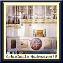 C.Ph.E.Bach: Sonata for Organ in A Minor - (1) Allegro assai