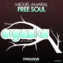 Free Soul (Original Mix)