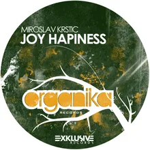 Joy Happiness (Original Mix)