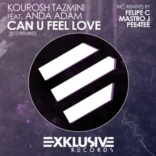 Can U Feel Love (Pee4tee Remix)