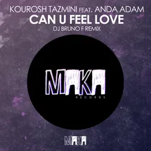 Can U Feel Love (Dj Bruno F Remix)