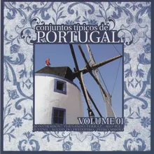 Terra Bendita de Portugal