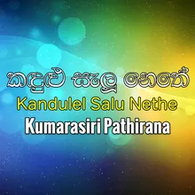 Kandulel Salu Nethe