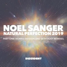 Natural Perfection-Norris Division Remix