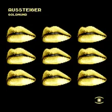 Goldmund-Radio Edit