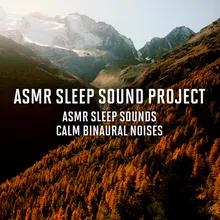 ASMR Binaural Sleep Sounds