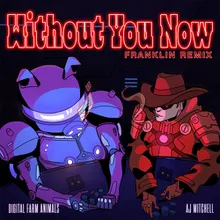 Without You Now (Franklin Remix)