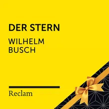 Der Stern