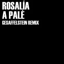 A Palé Gesaffelstein Remix