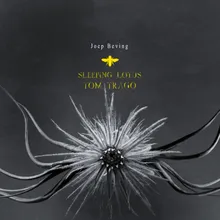Sleeping Lotus-Tom Trago's Sixtine Remix