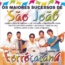 Festa Na Roça (Instrumental) / O Sanfoneiro Só Tocava Isso