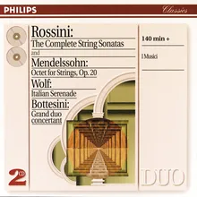 Grand Duo Concertant for Violin, Double bass and Strings