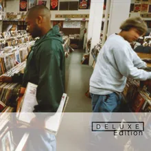 Why Hip-Hop Sucks In '96-Alternate Take